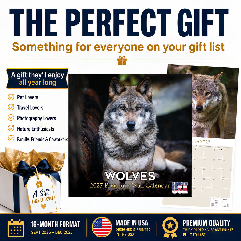 Wolves Wall Calendar 2027 - 12" x 12" Monthly Majestic & Powerful Wild Wolf Wildlife Nature Calendar