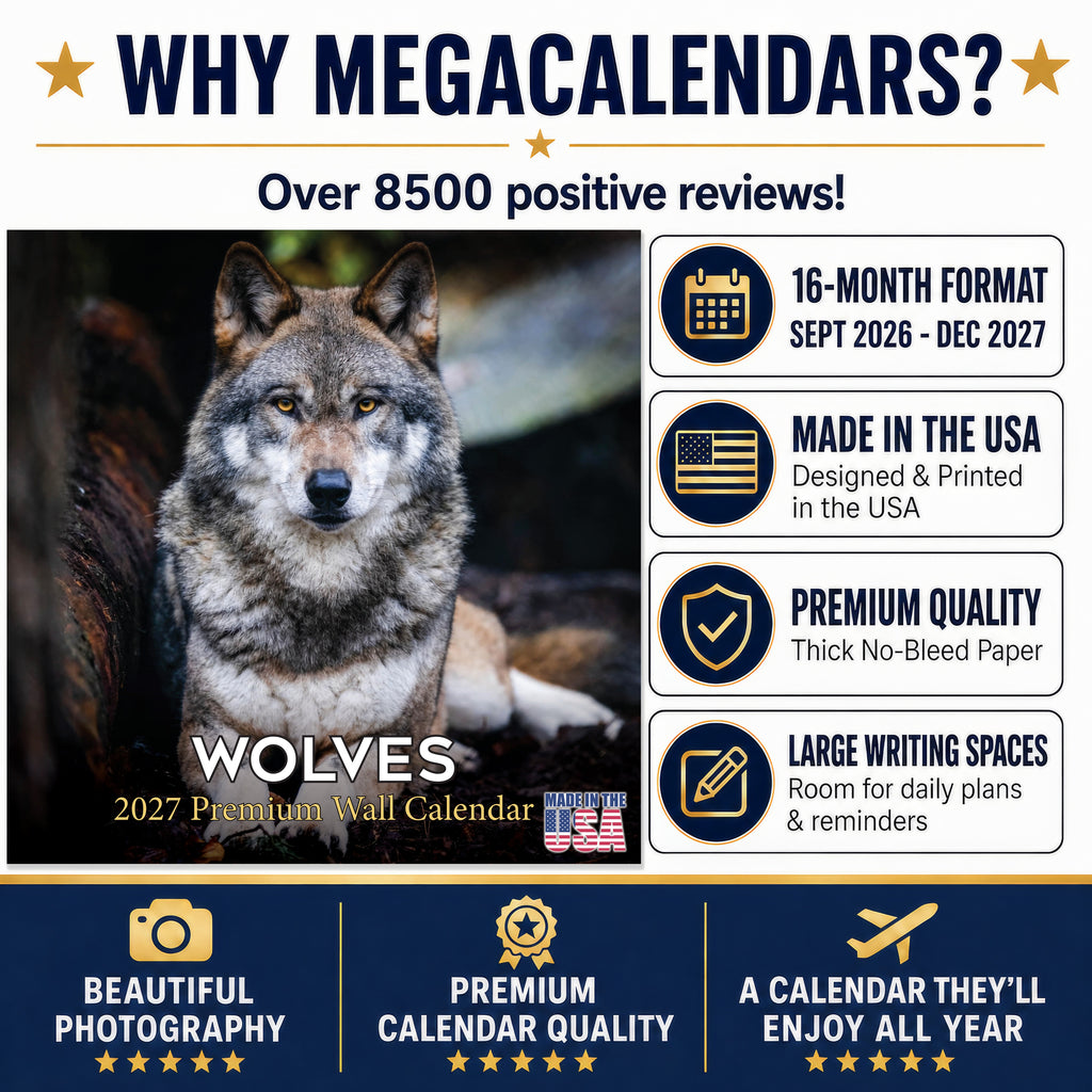 Wolves Wall Calendar 2027 - 12" x 12" Monthly Majestic & Powerful Wild Wolf Wildlife Nature Calendar