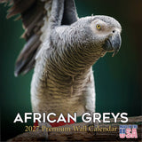 African Greys Wall Calendar 2027 - 12" x 12" Monthly Tropical Bird Calendar
