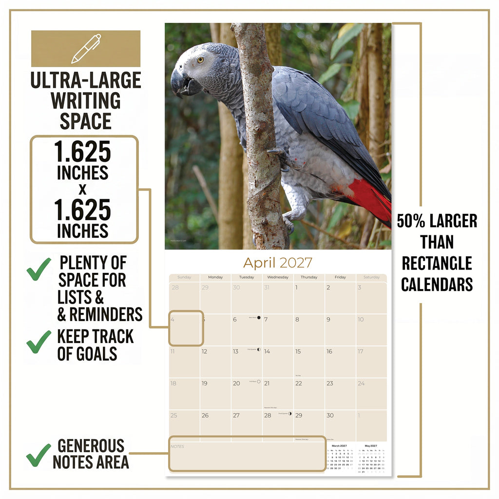 African Greys Wall Calendar 2027 - 12" x 12" Monthly Tropical Bird Calendar