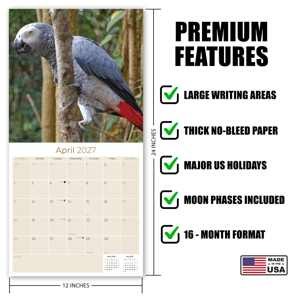 African Greys Wall Calendar 2027 - 12" x 12" Monthly Tropical Bird Calendar