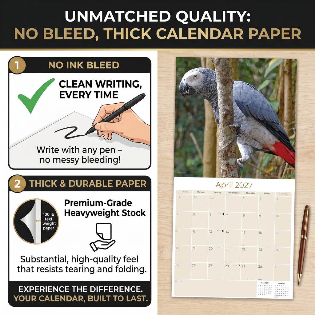 African Greys Wall Calendar 2027 - 12" x 12" Monthly Tropical Bird Calendar
