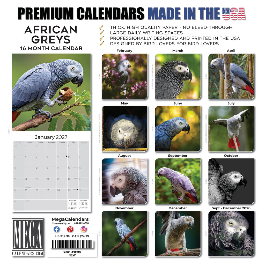 African Greys Wall Calendar 2027 - 12" x 12" Monthly Tropical Bird Calendar