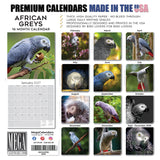African Greys Wall Calendar 2027 - 12" x 12" Monthly Tropical Bird Calendar