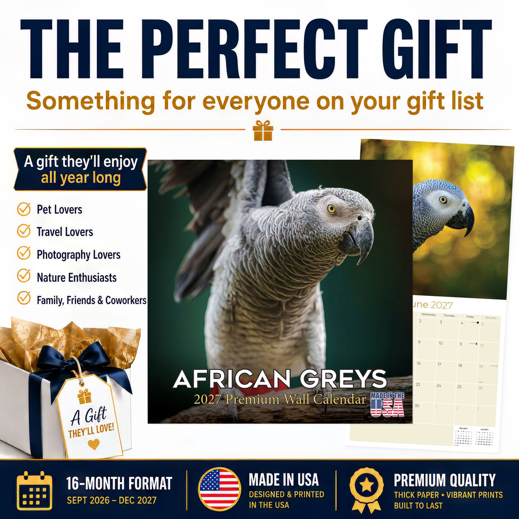 African Greys Wall Calendar 2027 - 12" x 12" Monthly Tropical Bird Calendar