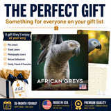 African Greys Wall Calendar 2027 - 12" x 12" Monthly Tropical Bird Calendar