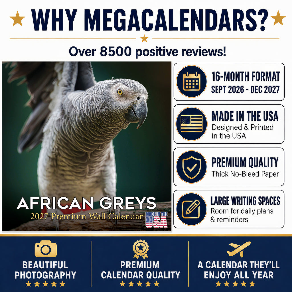 African Greys Wall Calendar 2027 - 12" x 12" Monthly Tropical Bird Calendar