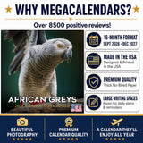 African Greys Wall Calendar 2027 - 12" x 12" Monthly Tropical Bird Calendar