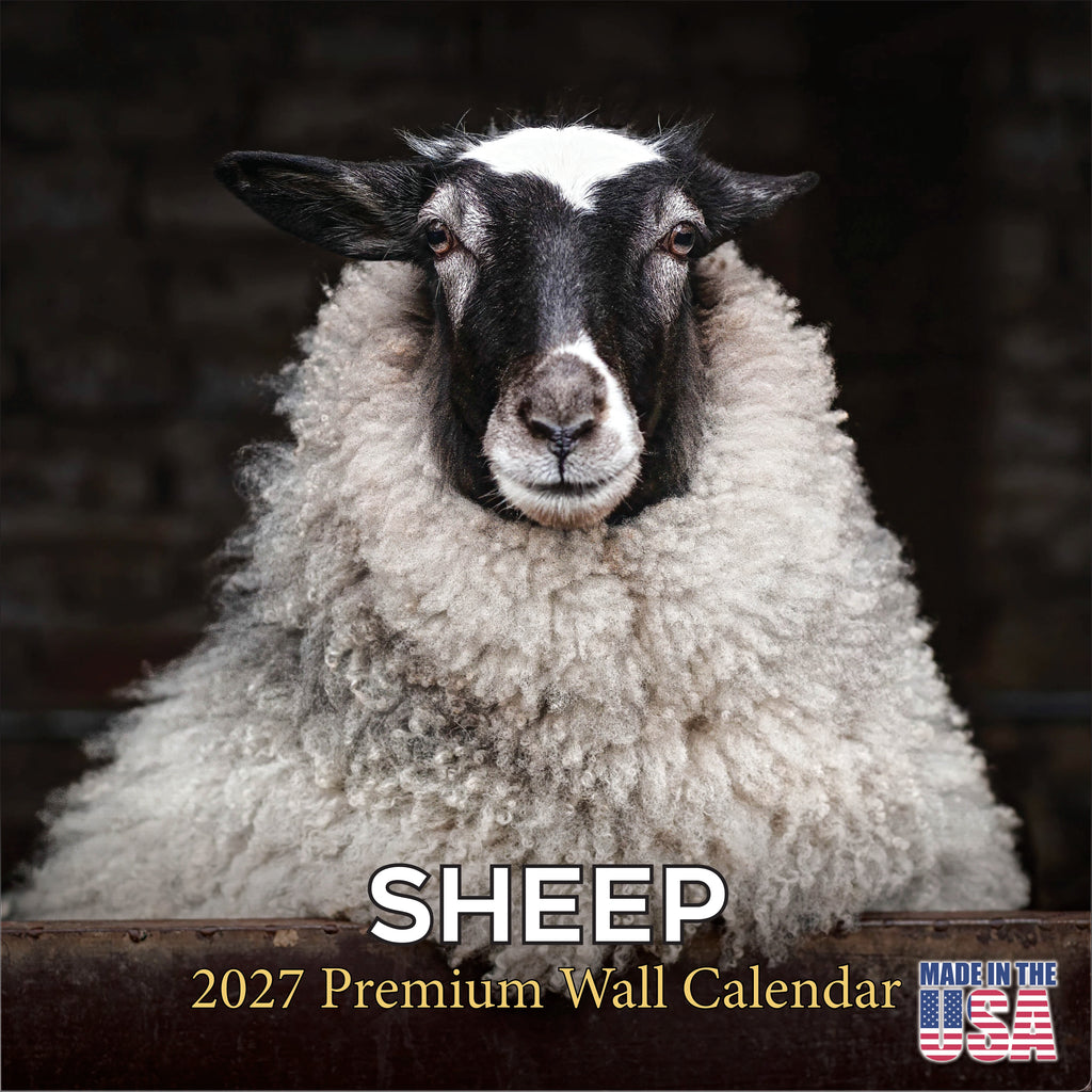 Sheep Wall Calendar 2027 - 12" x 12" Monthly Gentle & Pastoral Farm Animal Sheep Breed Calendar