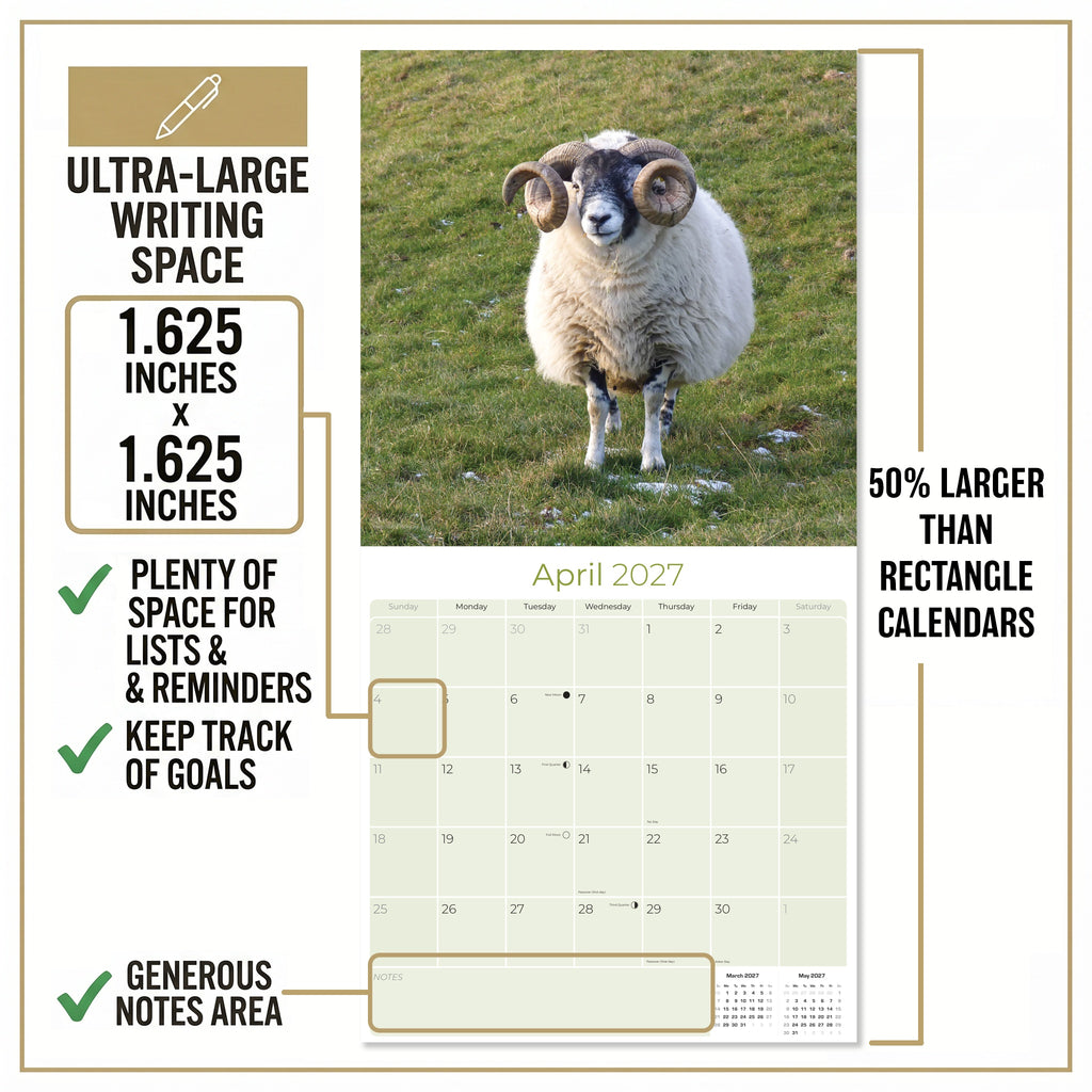 Sheep Wall Calendar 2027 - 12" x 12" Monthly Gentle & Pastoral Farm Animal Sheep Breed Calendar