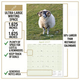 Sheep Wall Calendar 2027 - 12" x 12" Monthly Gentle & Pastoral Farm Animal Sheep Breed Calendar
