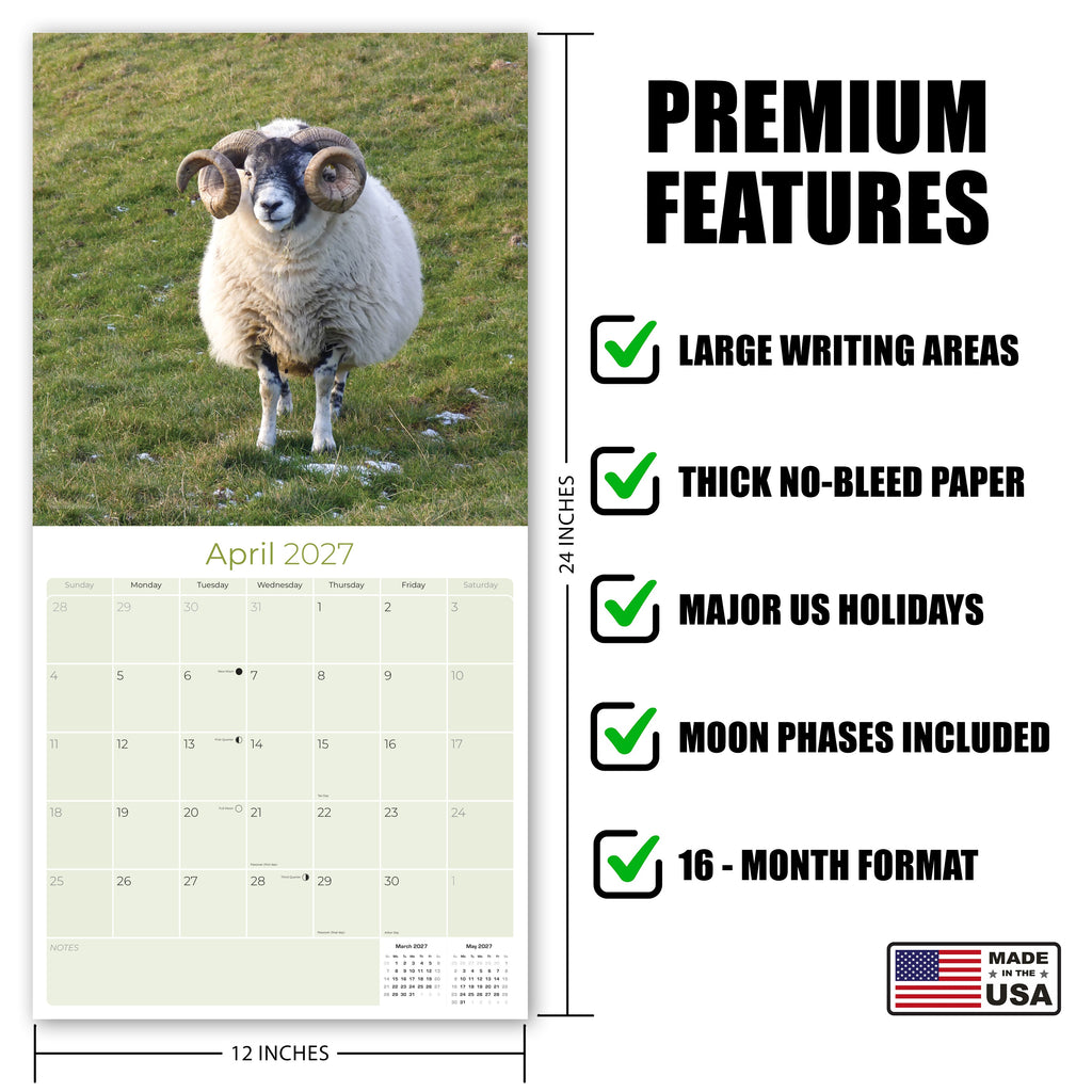 Sheep Wall Calendar 2027 - 12" x 12" Monthly Gentle & Pastoral Farm Animal Sheep Breed Calendar