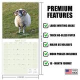 Sheep Wall Calendar 2027 - 12" x 12" Monthly Gentle & Pastoral Farm Animal Sheep Breed Calendar