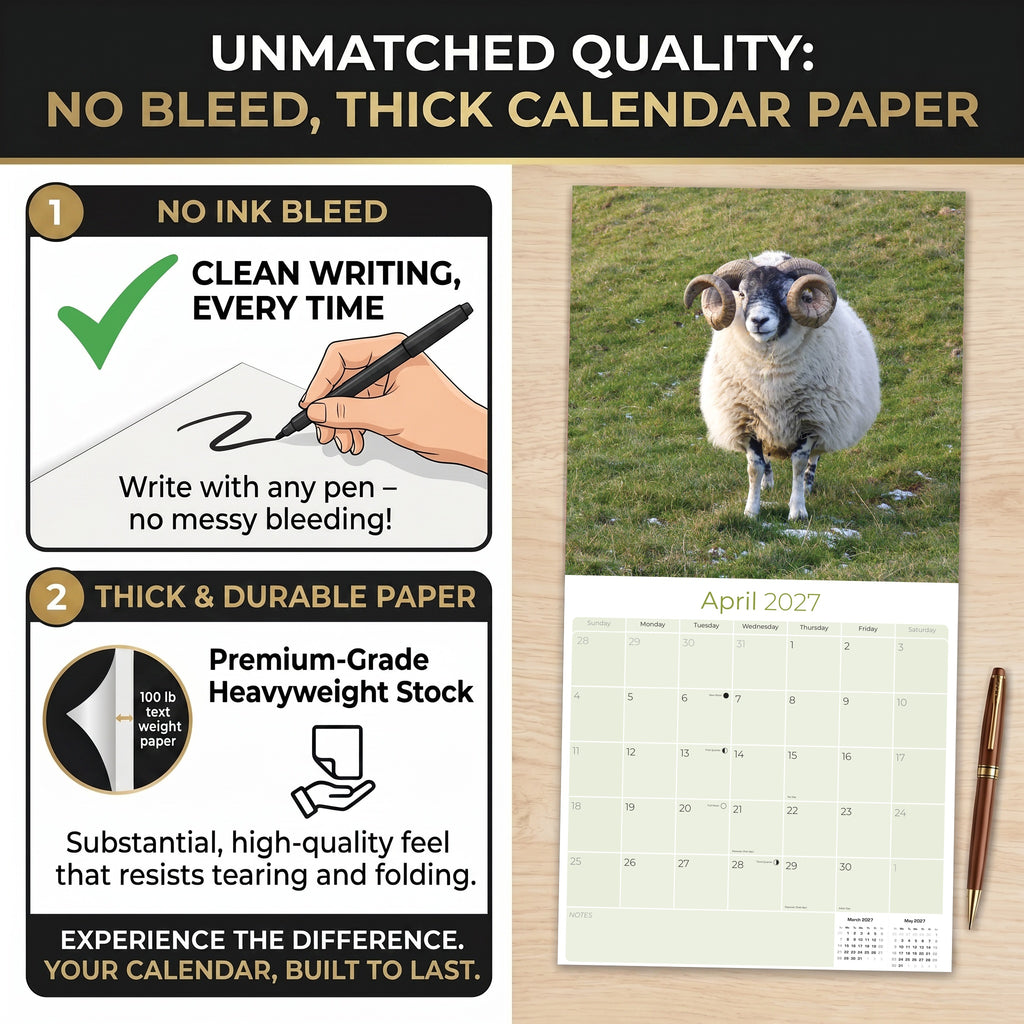 Sheep Wall Calendar 2027 - 12" x 12" Monthly Gentle & Pastoral Farm Animal Sheep Breed Calendar
