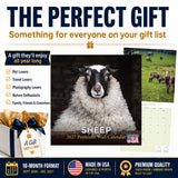 Sheep Wall Calendar 2027 - 12" x 12" Monthly Gentle & Pastoral Farm Animal Sheep Breed Calendar