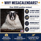 Sheep Wall Calendar 2027 - 12" x 12" Monthly Gentle & Pastoral Farm Animal Sheep Breed Calendar
