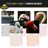 Flamingo Wall Calendar 2027 - 12" x 12" Monthly Vibrant Pink Flamingo Tropical Wading Bird Calendar
