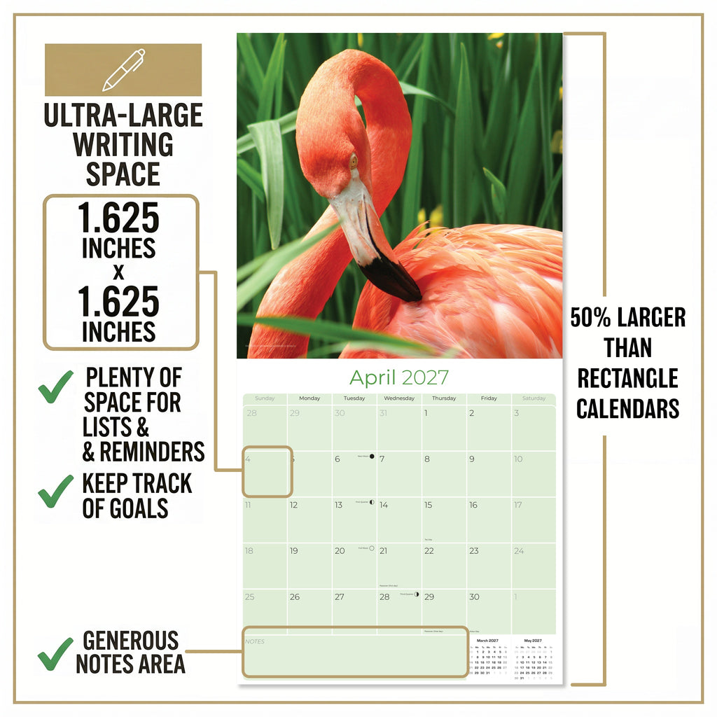 Flamingo Wall Calendar 2027 - 12" x 12" Monthly Vibrant Pink Flamingo Tropical Wading Bird Calendar