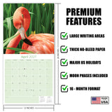 Flamingo Wall Calendar 2027 - 12" x 12" Monthly Vibrant Pink Flamingo Tropical Wading Bird Calendar