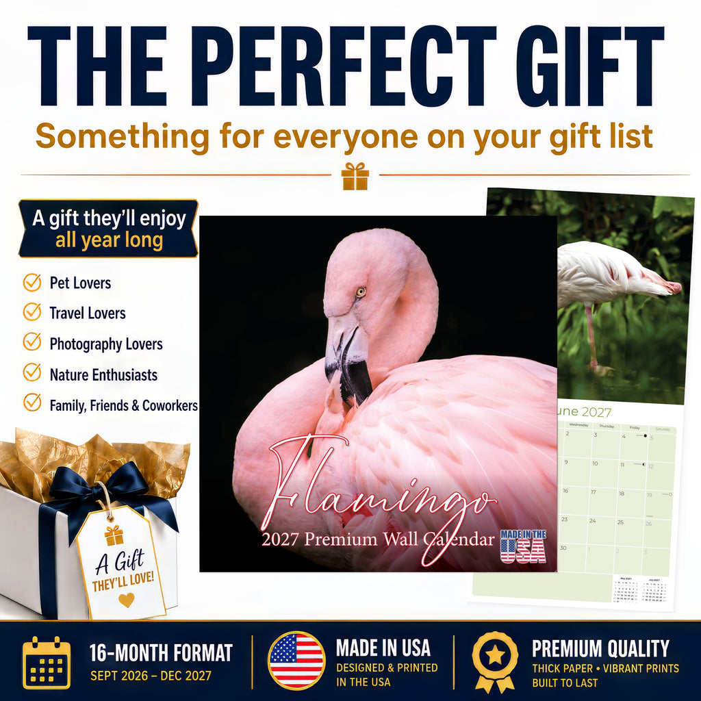 Flamingo Wall Calendar 2027 - 12" x 12" Monthly Vibrant Pink Flamingo Tropical Wading Bird Calendar