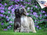 2027 Afghan Hound 14-Month Wall Calendar (12" x 9")
