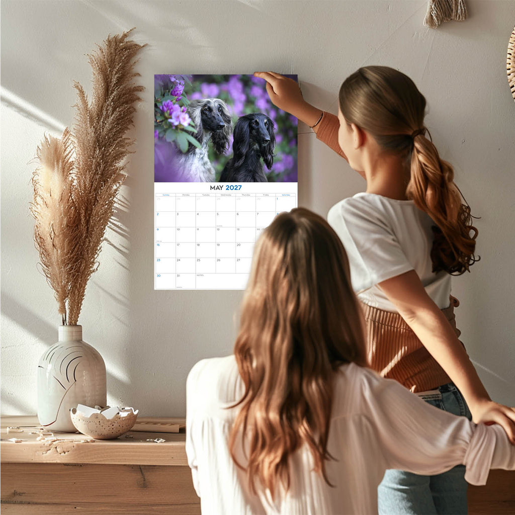2027 Afghan Hound 14-Month Wall Calendar (12" x 9")