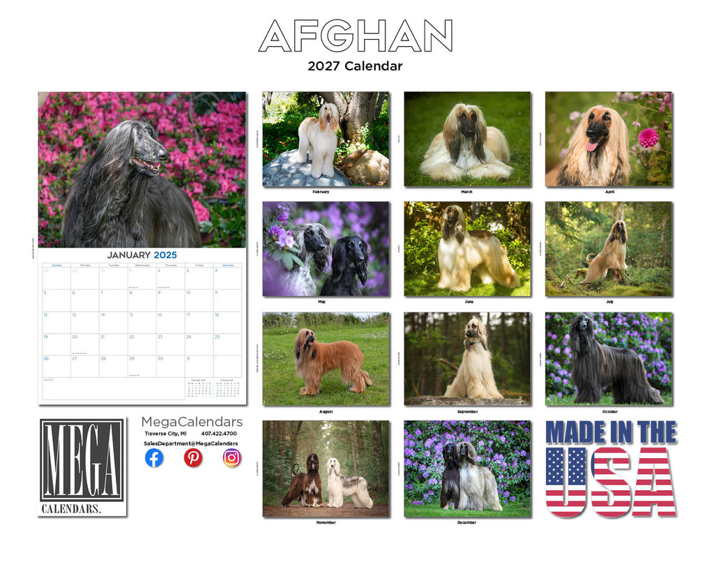 2027 Afghan Hound 14-Month Wall Calendar (12" x 9")