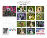 2027 Afghan Hound 14-Month Wall Calendar (12" x 9")