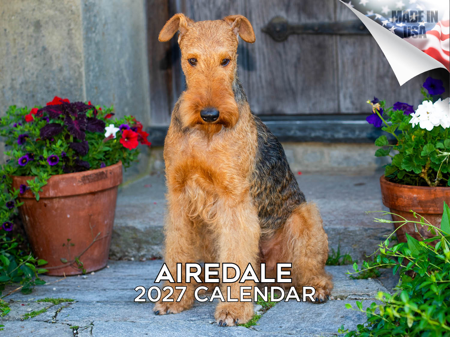 Airedale Wall Calendar 2027 - 12