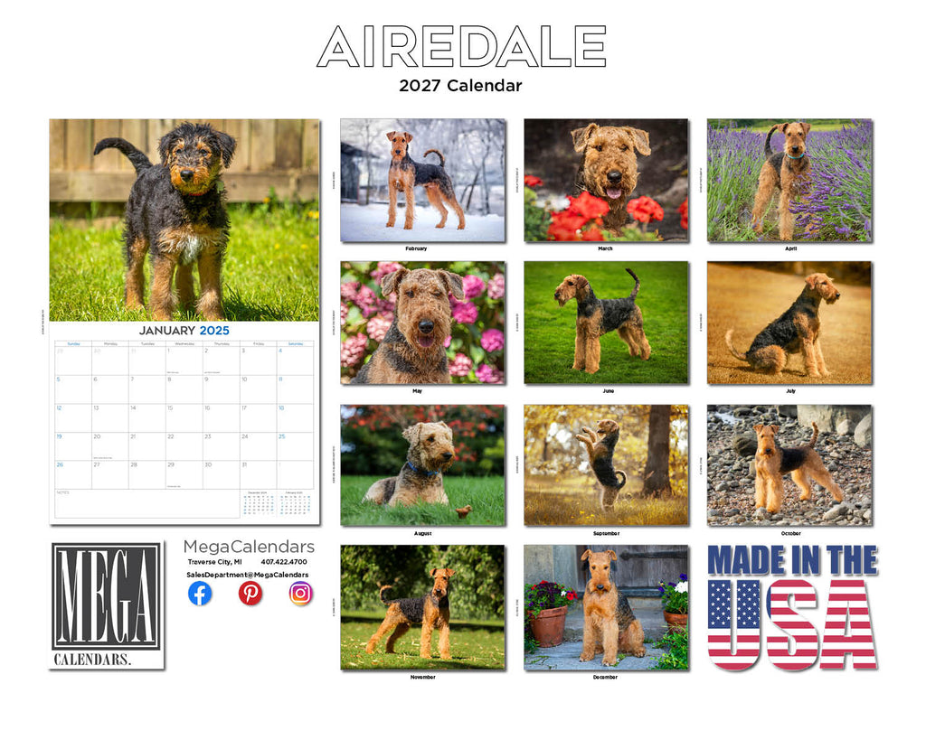 Airedale Wall Calendar 2027 - 12" x 9" 14-Month Dog Breed Calendar