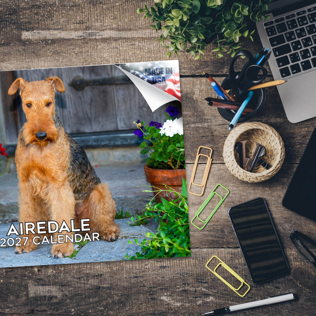 Airedale Wall Calendar 2027 - 12" x 9" 14-Month Dog Breed Calendar