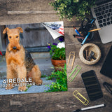 Airedale Wall Calendar 2027 - 12" x 9" 14-Month Dog Breed Calendar
