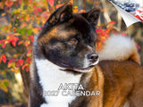 Akita Wall Calendar 2027 - 12" x 9" 14-Month Dog Breed Calendar
