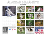 Alaskan Malamute Wall Calendar 2027 - 12" x 9" 14-Month Dog Breed Calendar