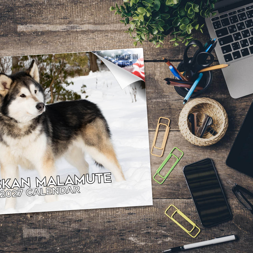 Alaskan Malamute Wall Calendar 2027 - 12" x 9" 14-Month Dog Breed Calendar