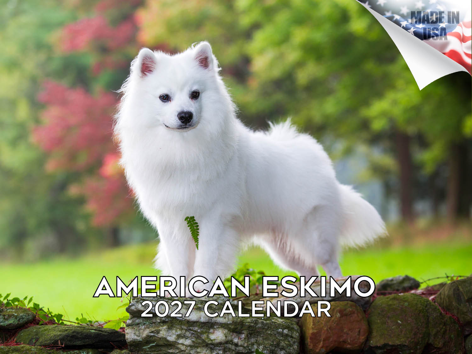 American Eskimo Wall Calendar 2027 - 12