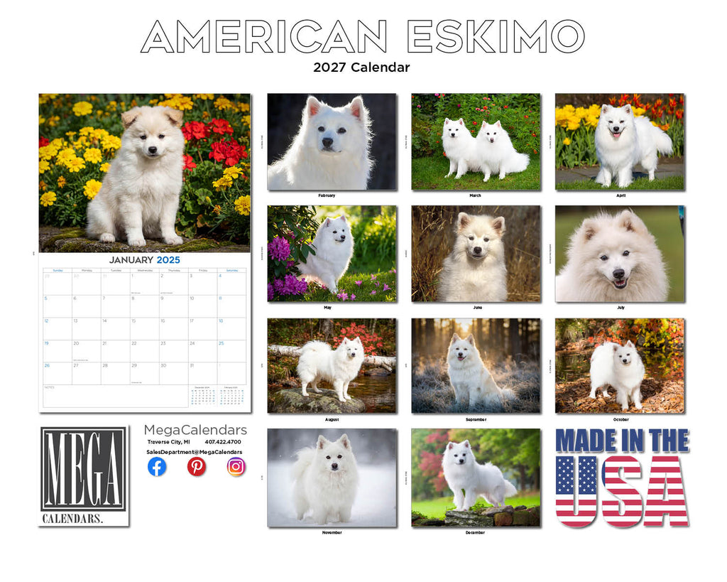 American Eskimo Wall Calendar 2027 - 12" x 9" 14-Month Dog Breed Calendar