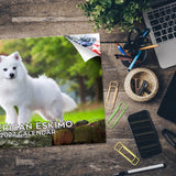 American Eskimo Wall Calendar 2027 - 12" x 9" 14-Month Dog Breed Calendar
