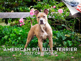 American Pit Bull Terrier Wall Calendar 2027 - 12" x 9" 14-Month Dog Breed Calendar