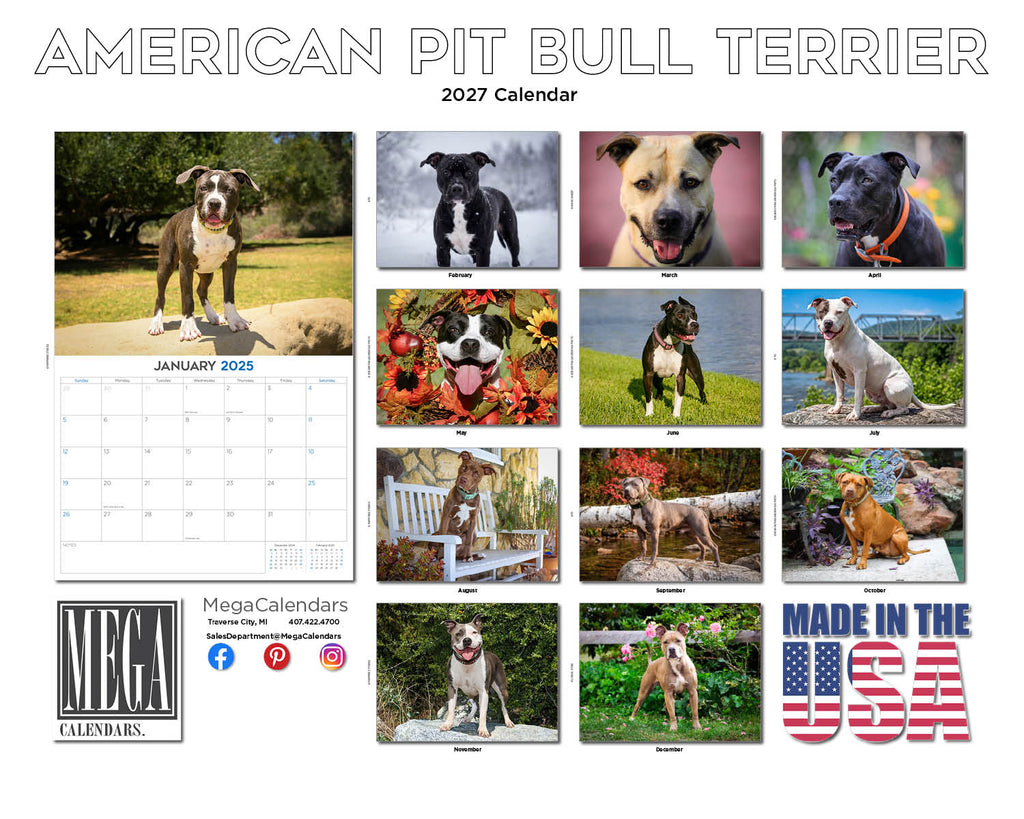 American Pit Bull Terrier Wall Calendar 2027 - 12" x 9" 14-Month Dog Breed Calendar