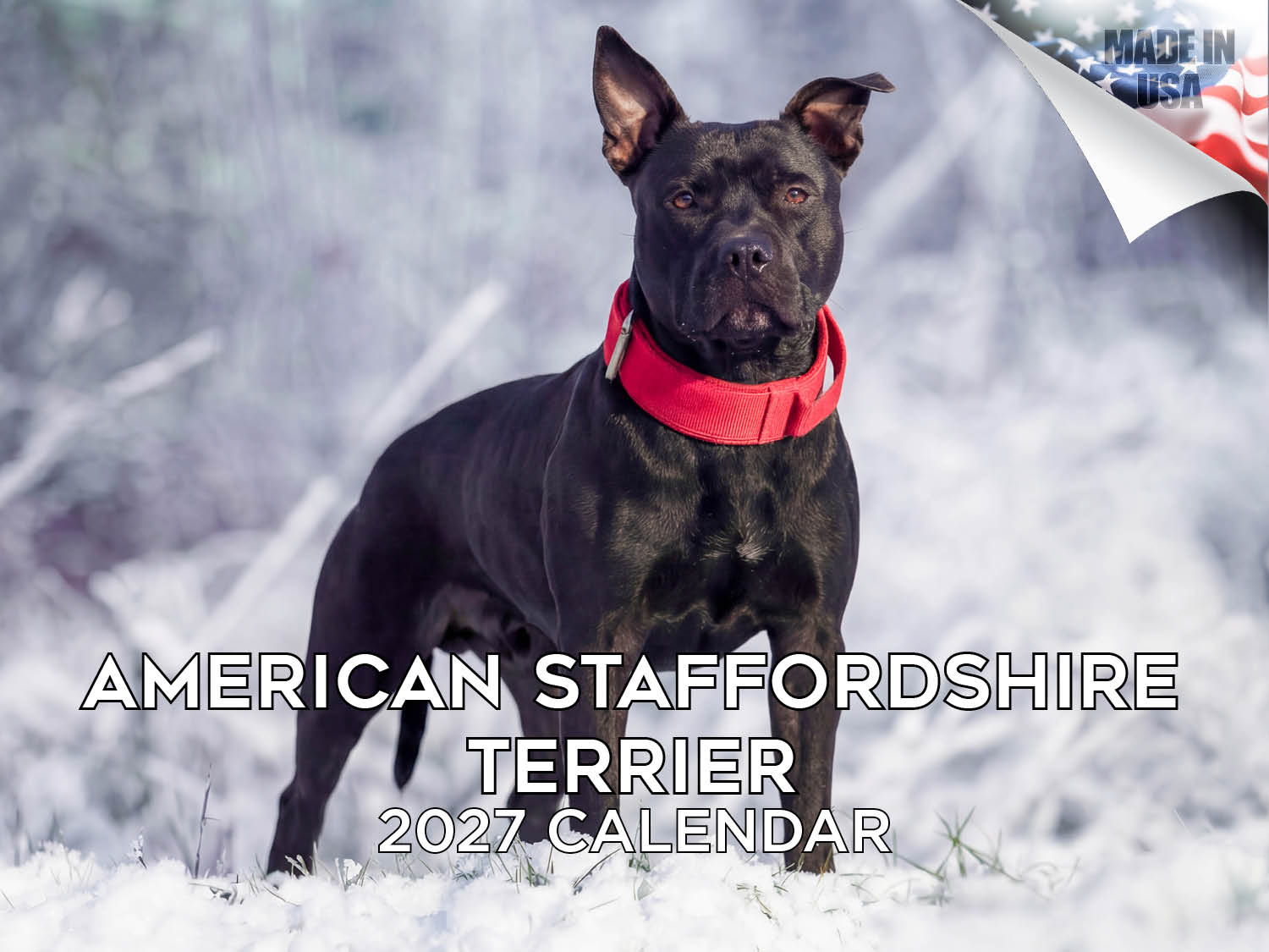 American Staffordshire Terrier Wall Calendar 2027 - 12