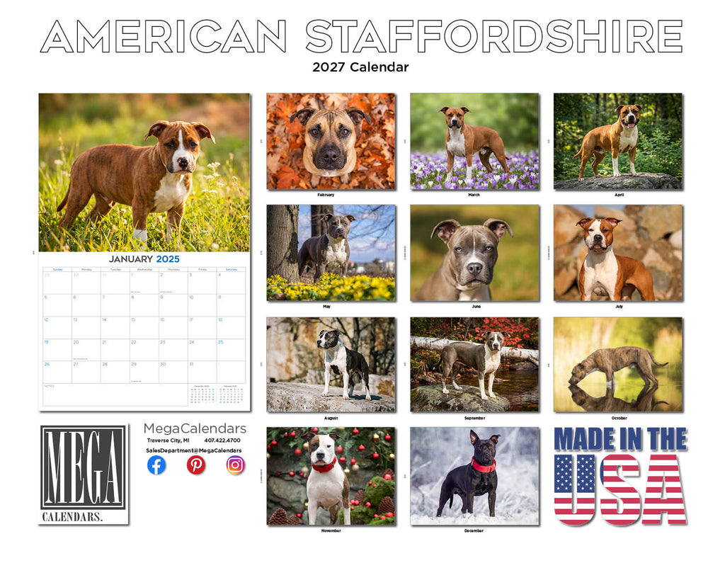 American Staffordshire Terrier Wall Calendar 2027 - 12" x 9" 14-Month Dog Breed Calendar