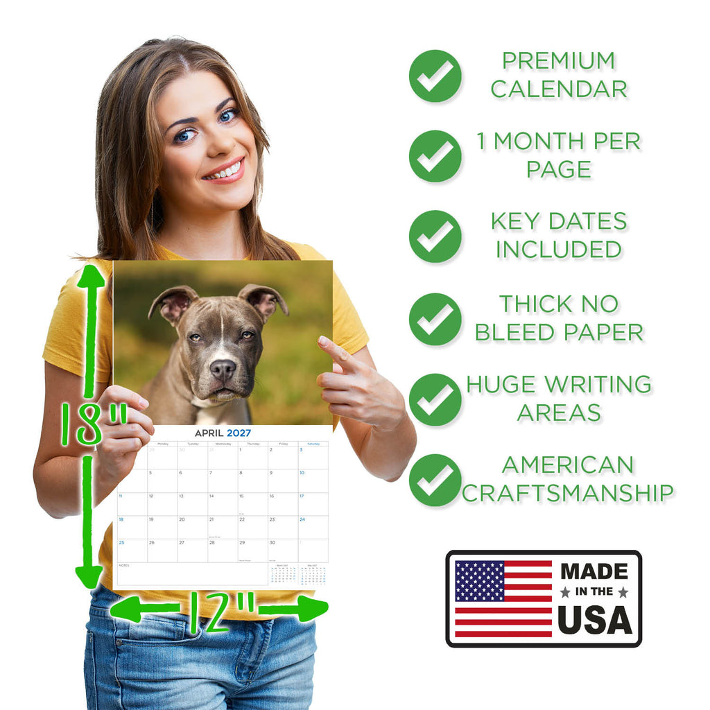 American Staffordshire Terrier Wall Calendar 2027 - 12" x 9" 14-Month Dog Breed Calendar