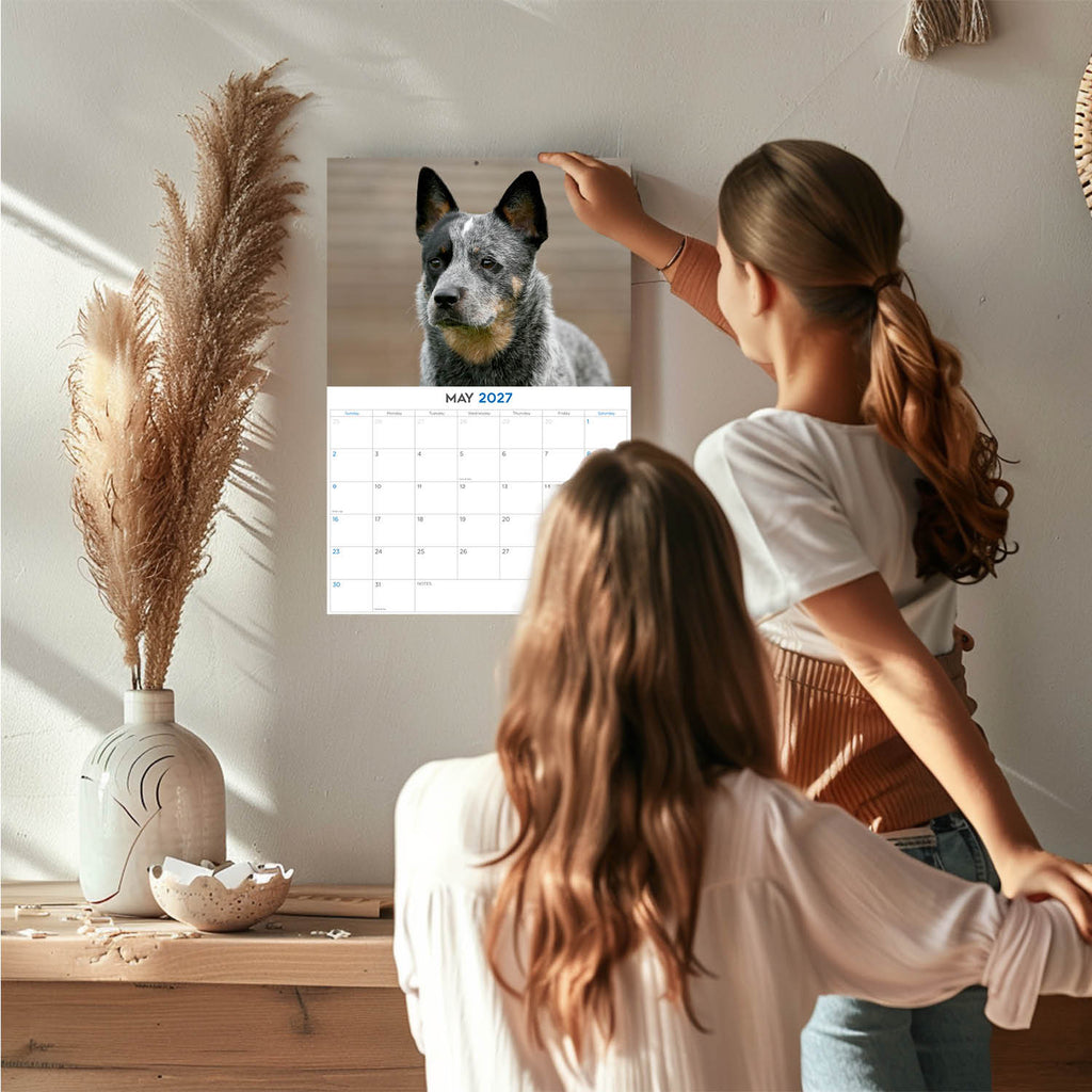 Australian Cattle Dog Wall Calendar 2027 - 12" x 9" 14-Month Dog Breed Calendar