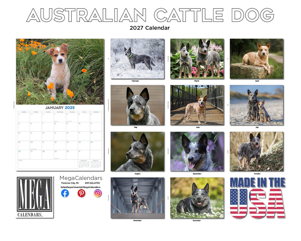 Australian Cattle Dog Wall Calendar 2027 - 12" x 9" 14-Month Dog Breed Calendar