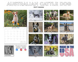Australian Cattle Dog Wall Calendar 2027 - 12" x 9" 14-Month Dog Breed Calendar