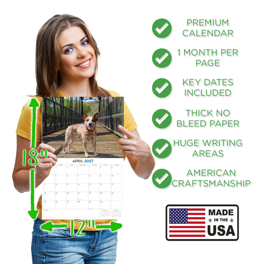 Australian Cattle Dog Wall Calendar 2027 - 12" x 9" 14-Month Dog Breed Calendar