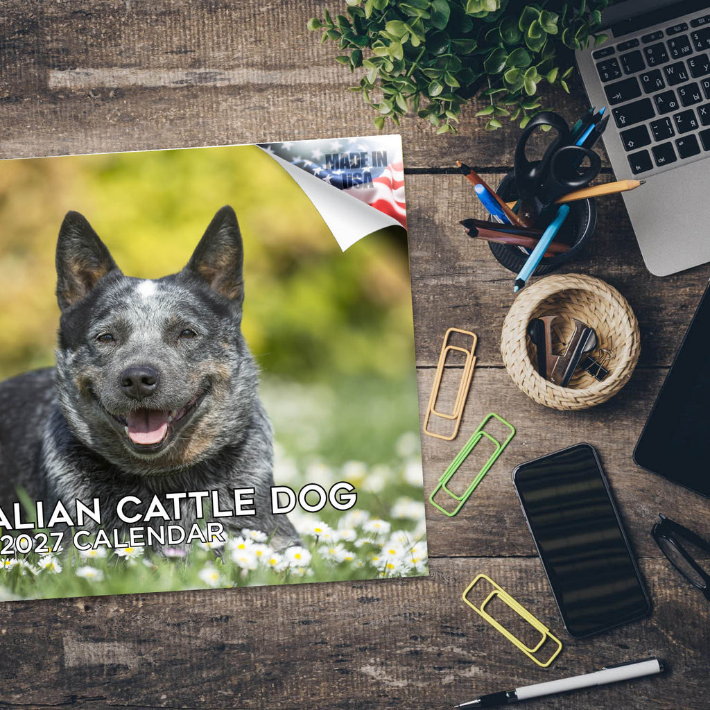 Australian Cattle Dog Wall Calendar 2027 - 12" x 9" 14-Month Dog Breed Calendar