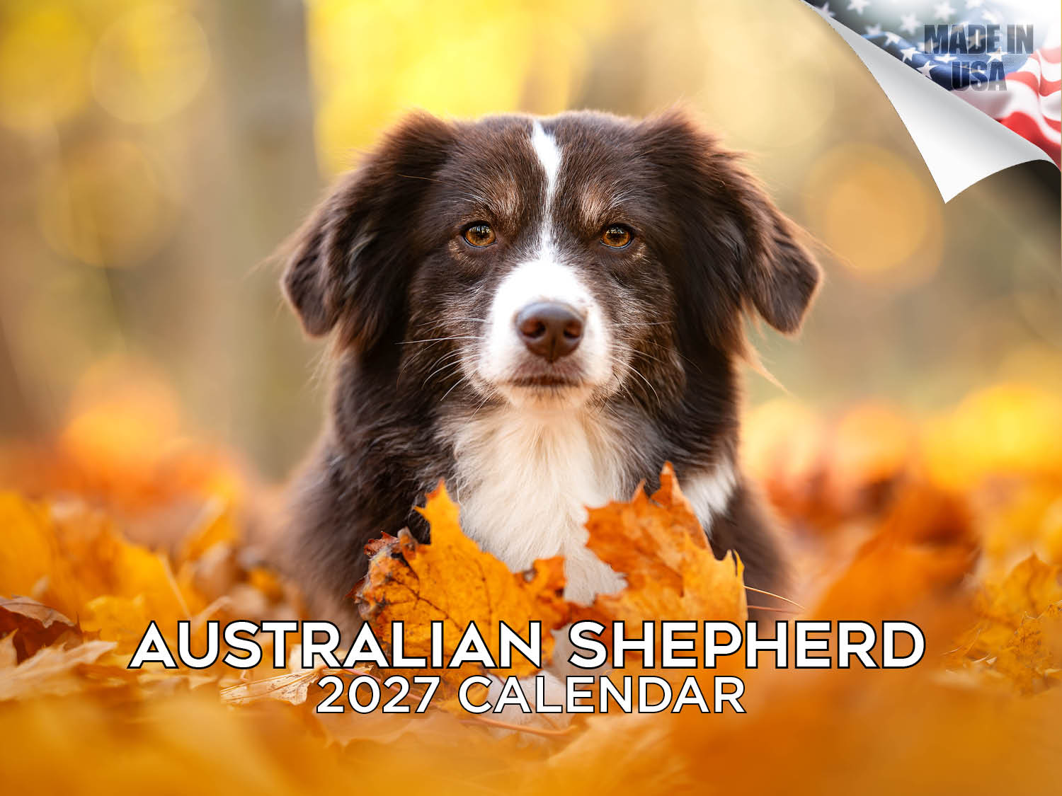 Australian Shepherd Wall Calendar 2027 - 12
