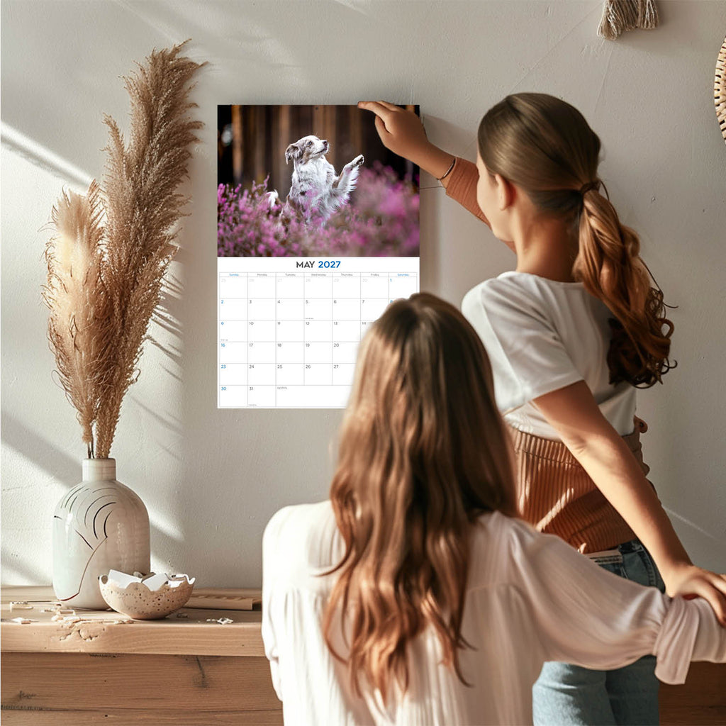 Australian Shepherd Wall Calendar 2027 - 12" x 9" 14-Month Dog Breed Calendar